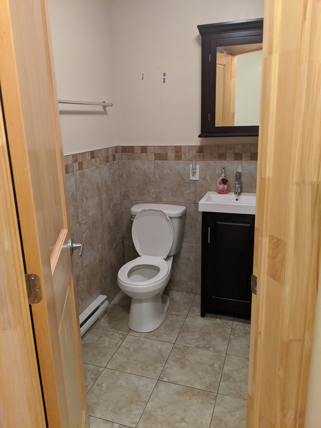 6585 Avenue du Parc — photo 3