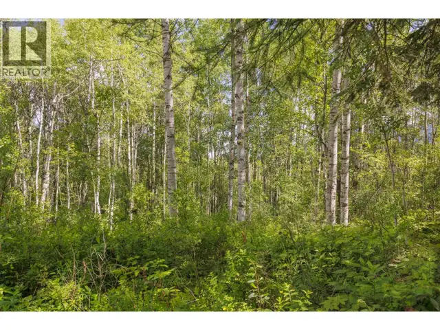 DL 5314 HORSESHOE LAKE ROAD McBride, British Columbia in Land for Sale in Quesnel - Image 8