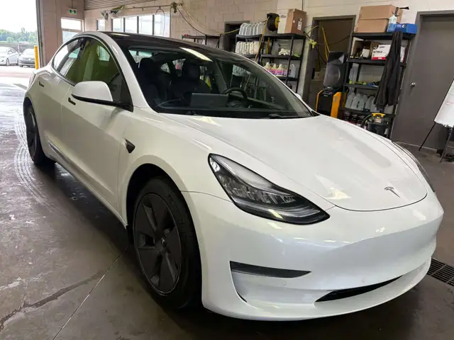 2021 Tesla Model 3 Standard Range Plus559731744535357442