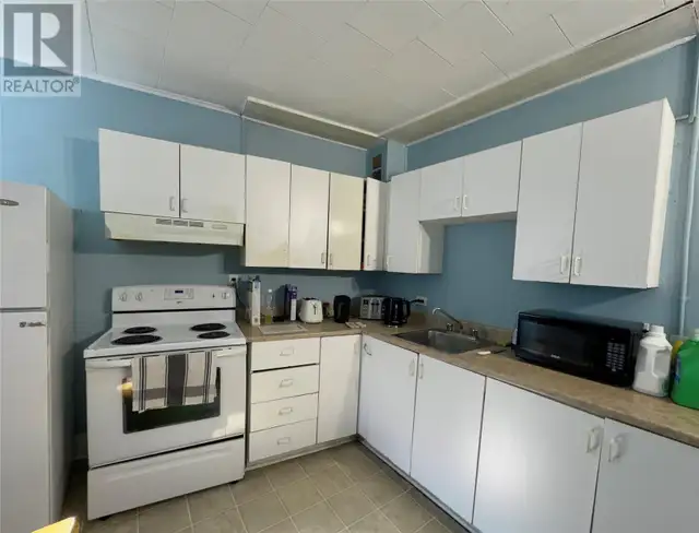 17 Freshwater Road St. John's, Newfoundland & Labrador in Houses for Sale in St. John's - Image 4