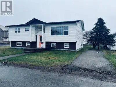 Welcome to 4 Camp Street in the beautiful town of Grand Bank. This well cared for 3 bedroom split en...