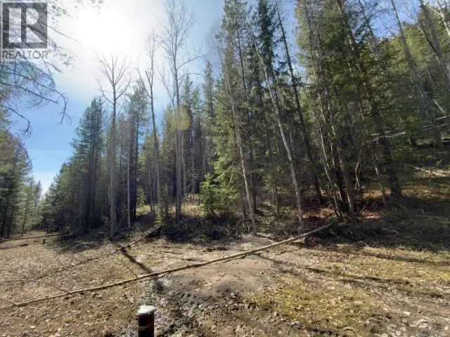 KM 53 Christian Valley Road Lot# 2 Westbridge, British Columbia in Land for Sale in Penticton - Image 30