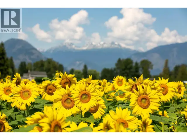 7634 SEVEN O'CLOCK DRIVE Pemberton, British Columbia in Land for Sale in Whistler - Image 28