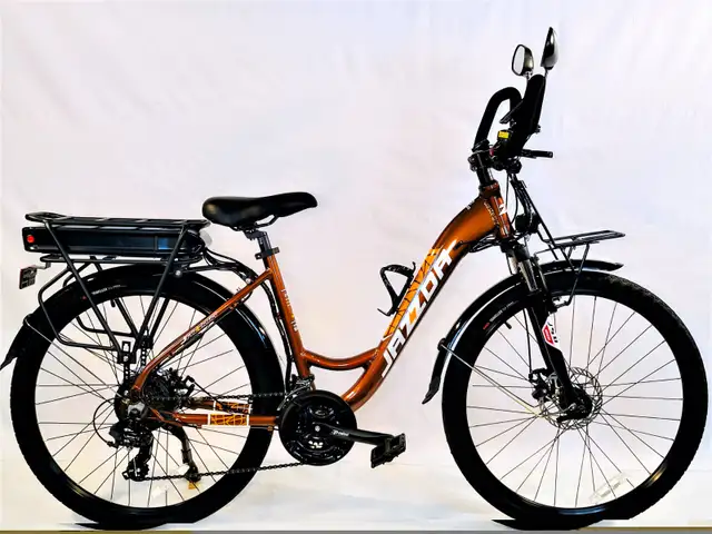 À BAS PRIX Des Vélo Électrique Scooter et Triporteur Lithium 48V in eBike in Longueuil / South Shore - Image 8