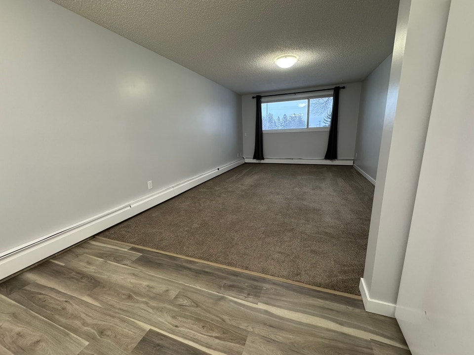 RENOVATED 1-Bedroom Apartment - SMALL PET FRIENDLY! 4