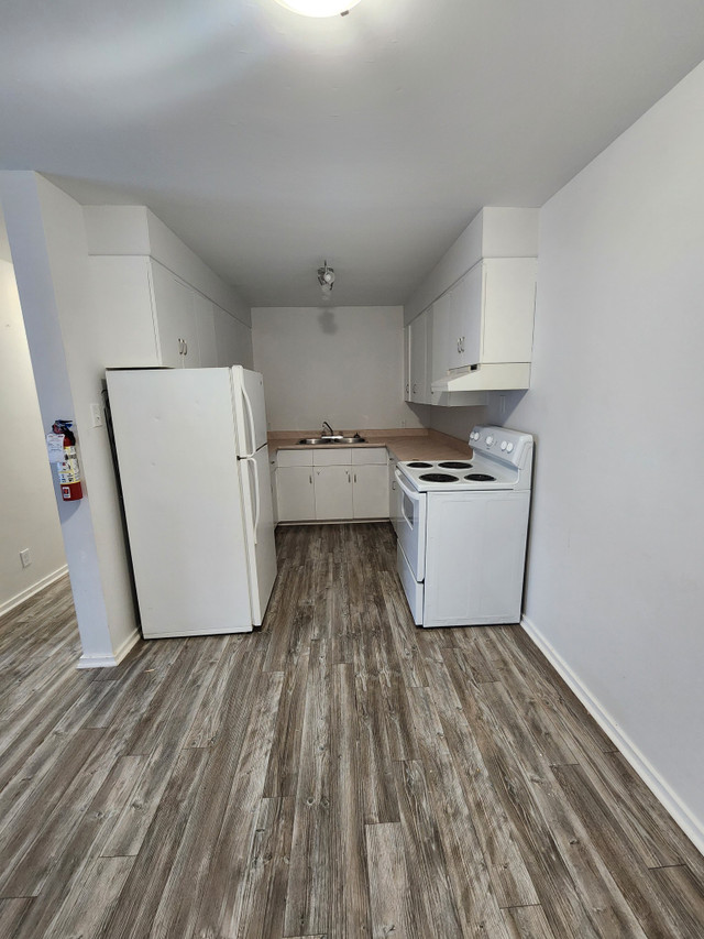 2 Bedroom Apartment  $1050 Available Feb 15th in Long Term Rentals in Gander - Image 2