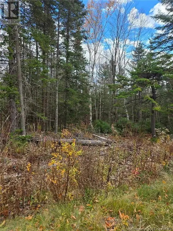 21-01 Worden Road Kingston, New Brunswick in Land for Sale in Saint John - Image 15