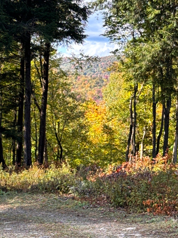 Terrains de 7,7 acres a vendre à Morin Heights — photo 2
