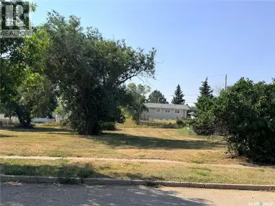 Located in the Town of Assiniboia, this spacious vacant lot offers more than 10,000 square feet for...