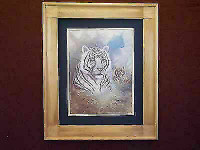 16 X 20 White Tiger Art Framed Print