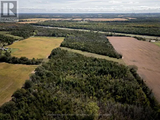 00 PALACE ROAD Greater Napanee (Greater Napanee), Ontario in Land for Sale in Napanee - Image 14