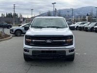 There is a reason the F-150 dominates Vancouver Island job sites and back roads. It is built for peo... (image 1)