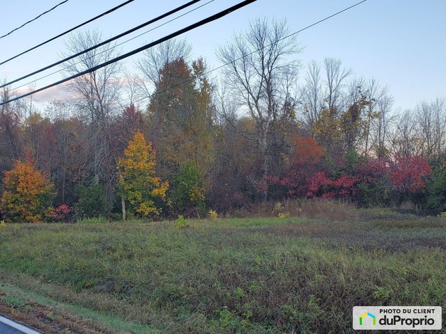 $235,000 - Arable Land for sale in Les Cedres — photo 2
