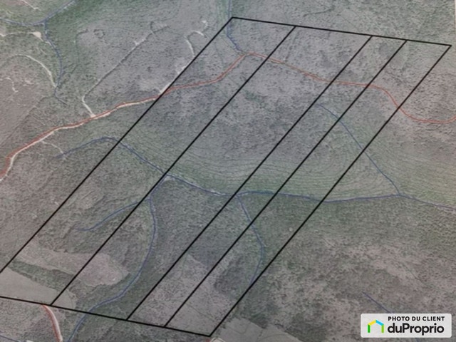 $700,000 - Wood Lot for sale in St-Alexis-De-Matapedia — photo 2