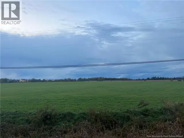 47492 Homestead Road Berry Mills, New Brunswick in Land for Sale in Moncton - Image 3