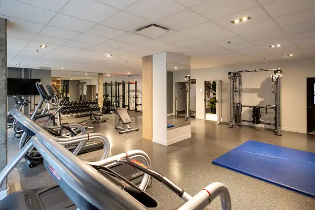 B&C Apartments - 2 Bedroom available at 1255 rue De Bullion, Mon in Long Term Rentals in City of Montréal - Image 10