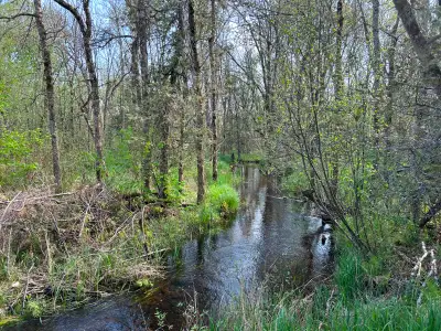 Escape to your own private 26-acre paradise with this exceptional recreational property featuring a...