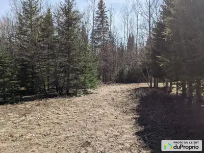 Beau terrain boisé de 39,420 pieds carrés partiellement défriché. Majoritairement plat, composé d'un...