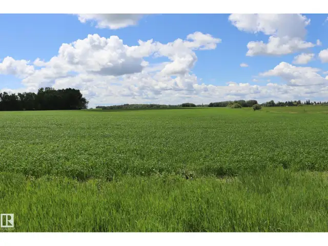 #17 470026 243A Rural Wetaskiwin County, Alberta in Land for Sale in Edmonton - Image 12