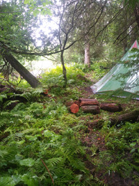Private Land to Pitch my Tent