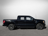NACTOY 2021 North American Truck of the Year. This Ford F-150 boasts a Regular Unleaded V8 5.0 L eng... (image 3)