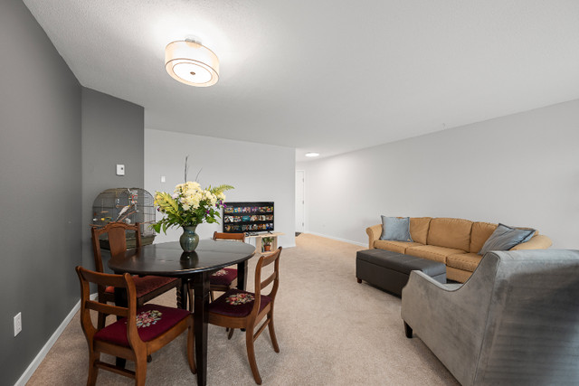 Freshly Renovated Condo in The Heart of Courtenay! in Condos for Sale in Comox / Courtenay / Cumberland - Image 3