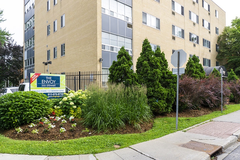 255 Stewart Apartment for rent in Sandy Hill Long Term Rentals