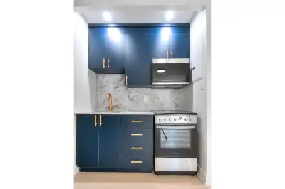 Enjoy urban living at its finest in this bright and well-designed studio apartment located in the vi...