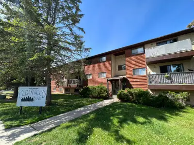 5220 41 Street, Innisfail Cedarwood Grove Incentive: Save with free heat & water for 6 months! Locat...