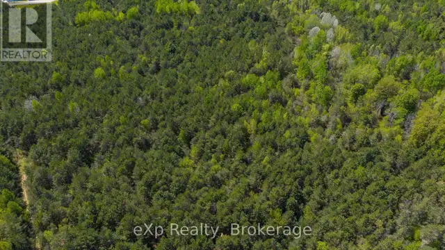 5716 COUNTY ROAD 9 Clearview, Ontario in Land for Sale in Oakville / Halton Region - Image 22