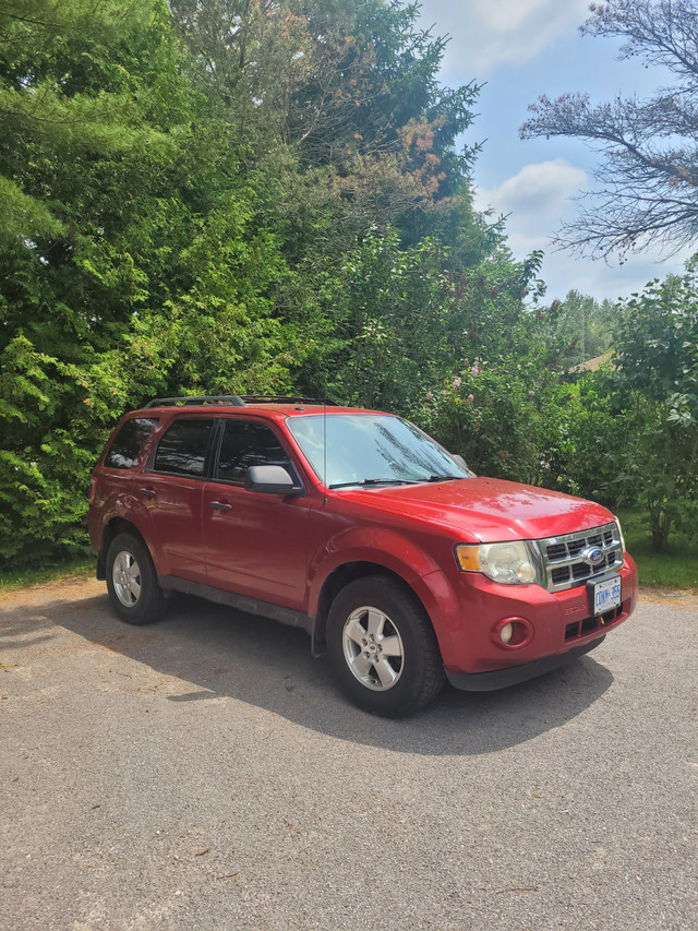 2012 Ford Escape XLT in Cars & Trucks in Oshawa / Durham Region - Image 4