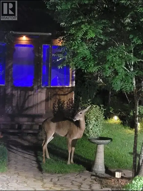 310 Route 102 Burton, New Brunswick in Houses for Sale in Fredericton - Image 29