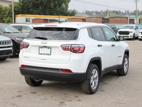 4x4, 2.0L Turbo, Forward Collision Warning with Active Braking, Backup Camera, Active Lane Managemen... (image 3)