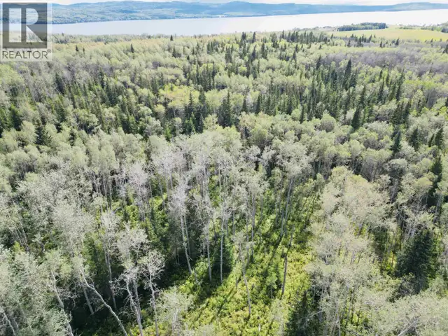DL 941 SHAEFFER LAKE Burns Lake, British Columbia in Land for Sale in Burns Lake - Image 18