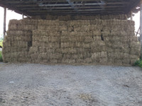 small square bales of hay