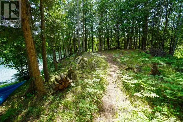 382 OLD DETLOR ROAD Bancroft (Dungannon Ward), Ontario in Land for Sale in Trenton - Image 35