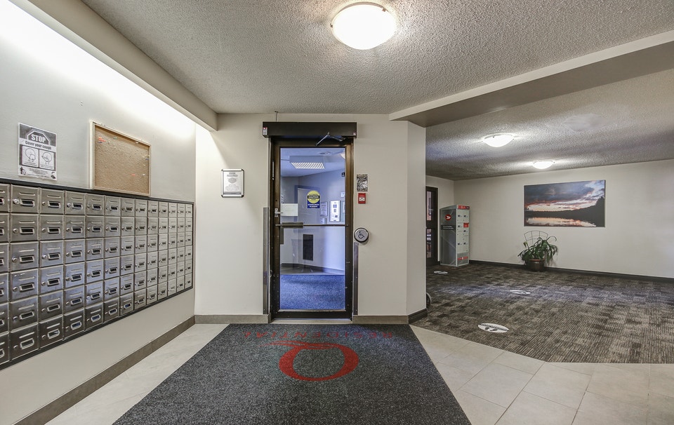 382 Queenston St. - One Bedroom Apt Available Sept 1st 3