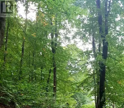 Escape to the Outdoors! Discover 25 acres of private, vacant land offering a peaceful and secluded s...