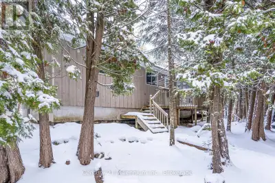 Forest Escape on 25 Acres near Pike Bay offers total privacy surrounded by nature! With a fully reno...