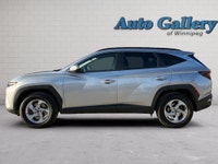 Accident Free! | Apple CarPlay / Android Auto | Heated Front Seats | Heated Steering Wheel | Auto Ve... (image 1)