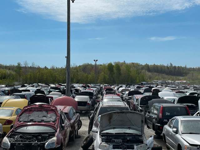 Used Car Hoods | Find yours today at Kenny U-Pull Elmsdale in Auto Body Parts in Truro - Image 2