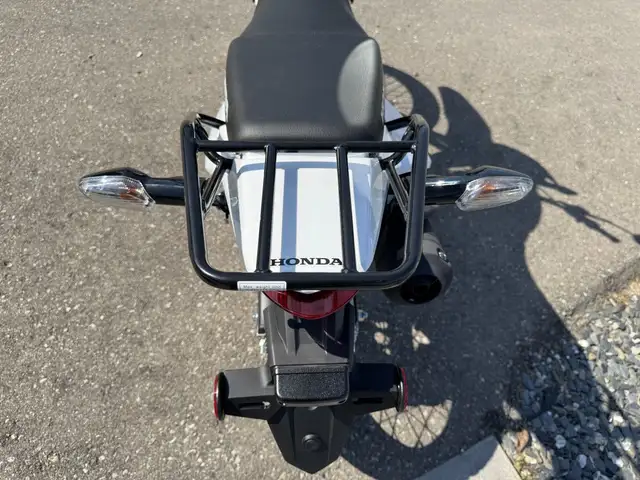 2025 Honda XR150L Standard in Street, Cruisers & Choppers in Kitchener / Waterloo - Image 16