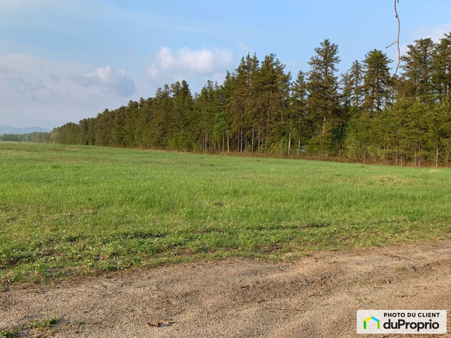 2,50$ - Terrain résidentiel à vendre à St-Honore-De-Chicoutimi dans Terrains à vendre  à Saguenay - Image 3