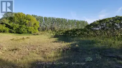 This high and dry lot with no adjacent wetlands is a spacious 2.27 acres with 378 feet of frontage o...