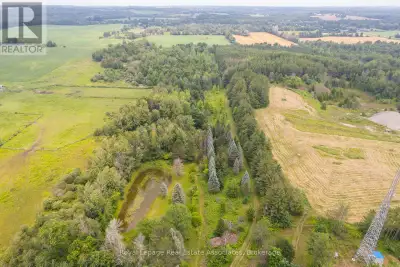 Your dream rural retreat awaits you in Mimosa Springs! Escape to your own peaceful and private 11 ac...