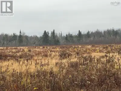 A 25 acre parcel of land just off the Trans Canada at Exit 18 in Kemptown. This large parcel of land...