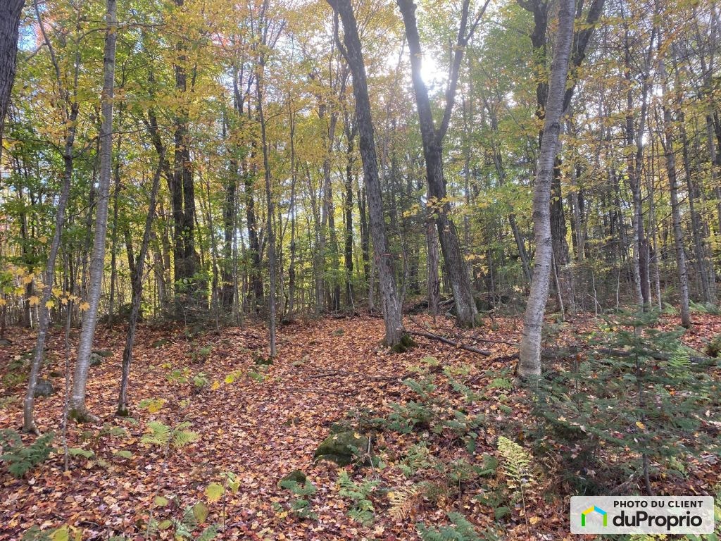 $149,900 - Residential Lot for sale in St-Colomban — photo 3