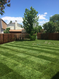 Damaged lawn?  We can help! Orleans sodding service
