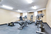 1 Bed, 1 Bath, Newly Renovated Kitchen with Stainless Steel Appliances with Amazing Amenities, Spect... (image 8)