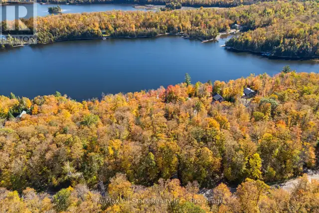 100 RUSSELL DRIVE Trent Lakes, Ontario in Land for Sale in Muskoka - Image 5